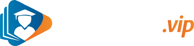 Tamdestek VIP logo